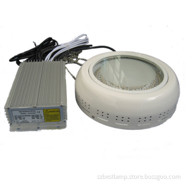 LED Grow Light with High Quality 1W LED